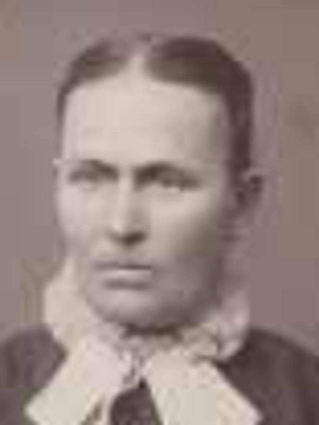 Ada Irene Phippen (1850 - 1932) Profile